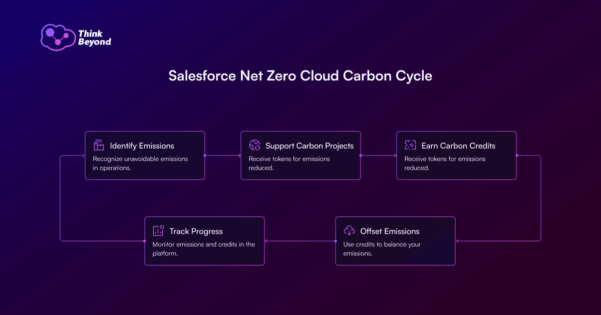 Infographic diagram illustrating Salesforce Net Zero Cloud Carbon Cycle.