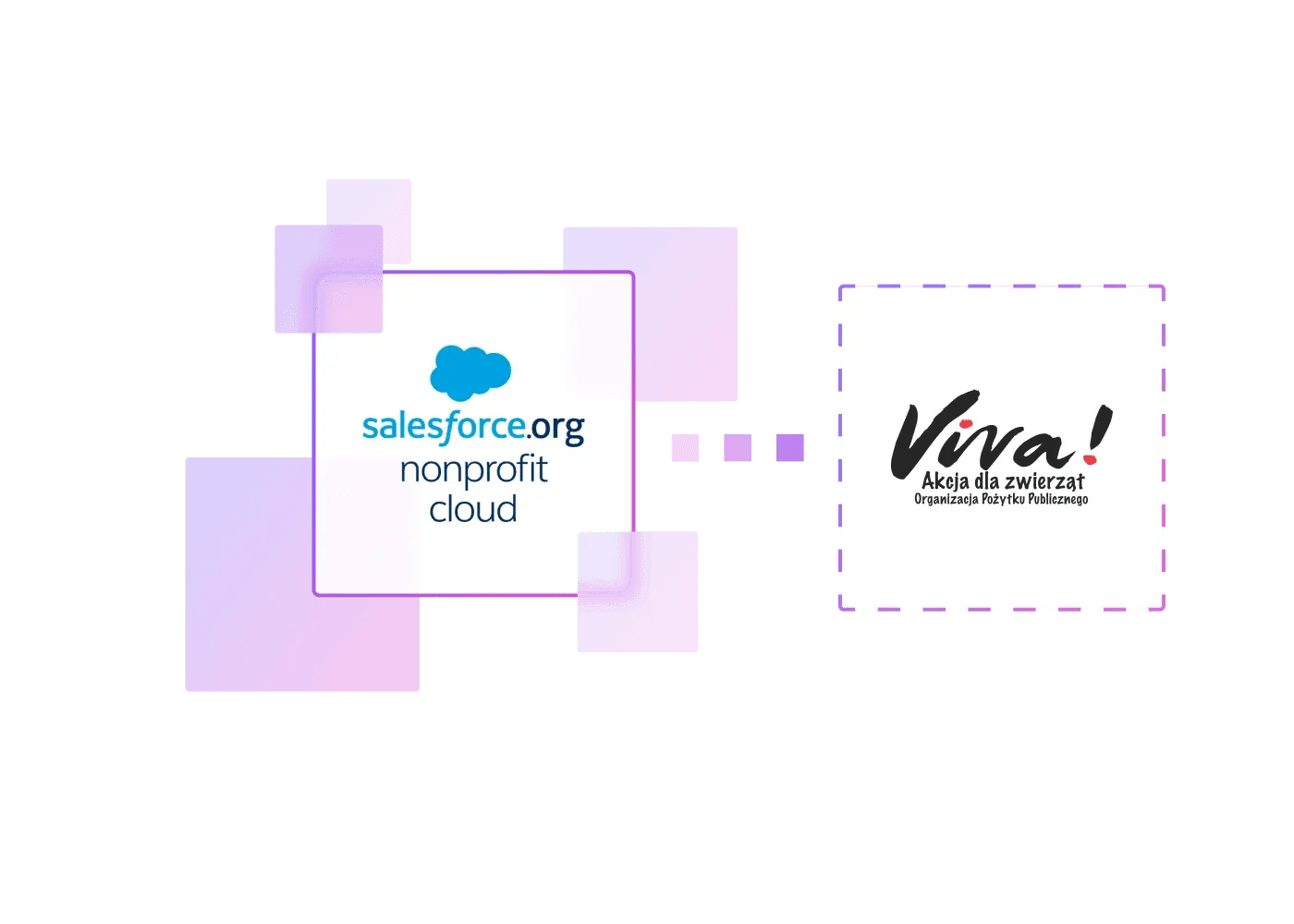 NonProfit Success Pack bei VIVA!